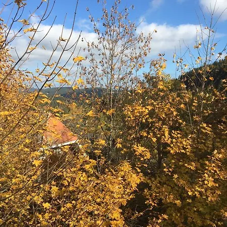 Schwarzwaldnest شقة Hintertal