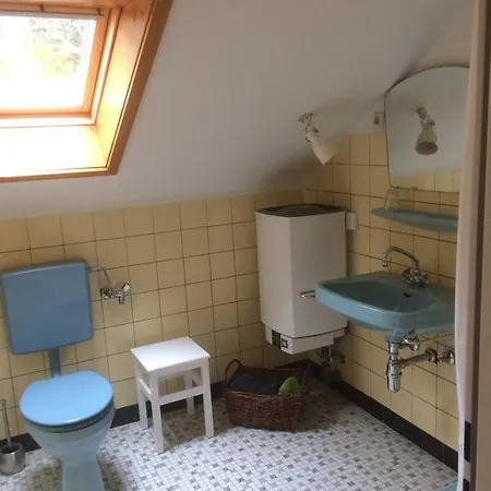 Schwarzwaldnest شقة Hintertal